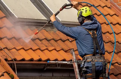 Démoussage et hydrofuge de toiture à Angous